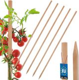 KOTARBAU® 5 st Tomatenstokken, Plantenstok, Beukenhout, 120 cm