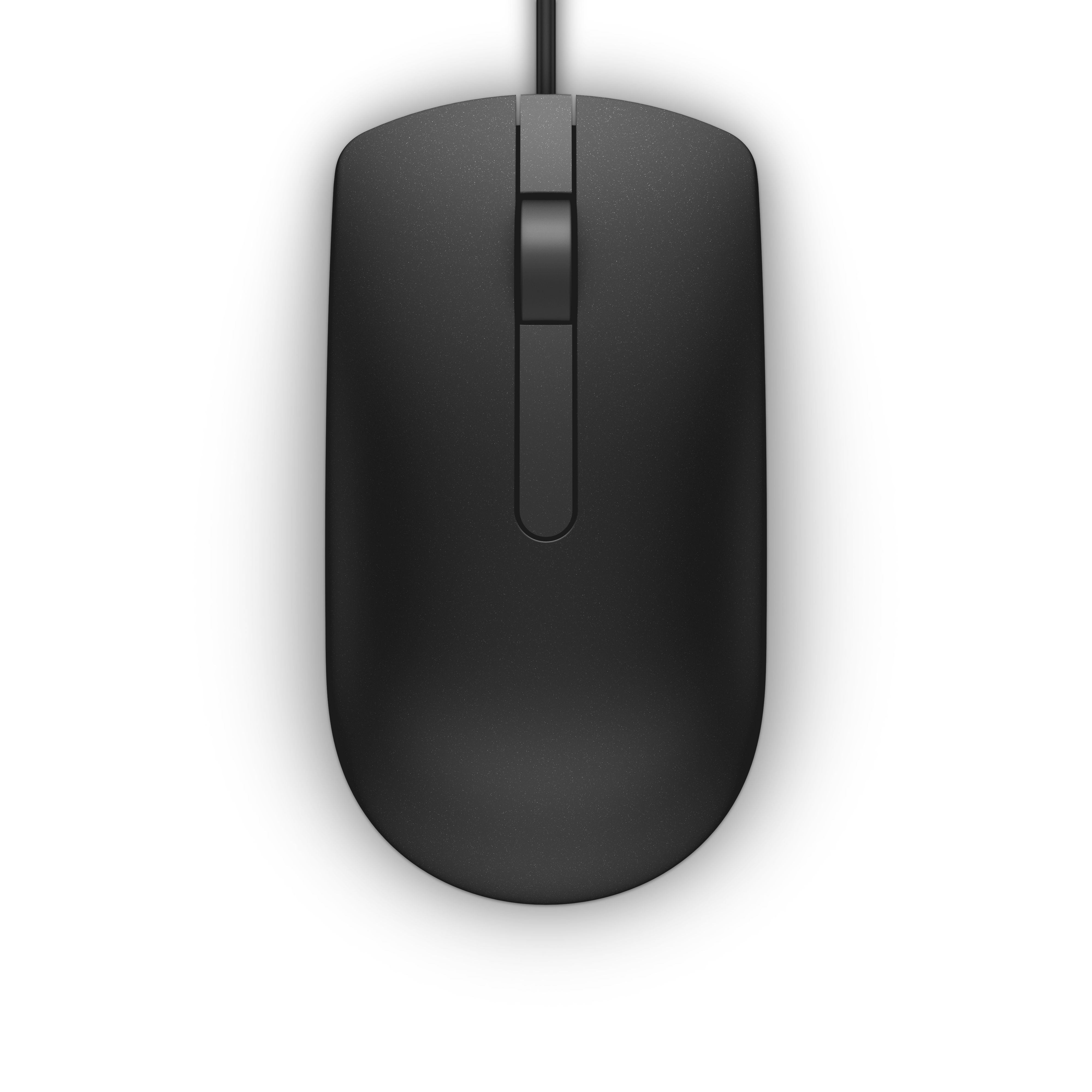 DELL MS116 - Optische USB Muis - Zwart