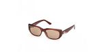 Guess GU00306 Shiny dark brown 54/17/140 FEMME Lunettes de soleil