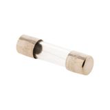 Zenitech - Glaszekering 5 x 20 Mm 0.5 A - Verpakking Van 3