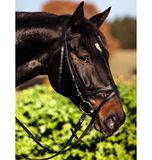 Covalliero Kerbl 32172 hoofdstel standaard leer voor warmbloed, zwart