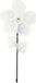Creativ company Bloemen windmolen, d: 20 cm, 10 stuks