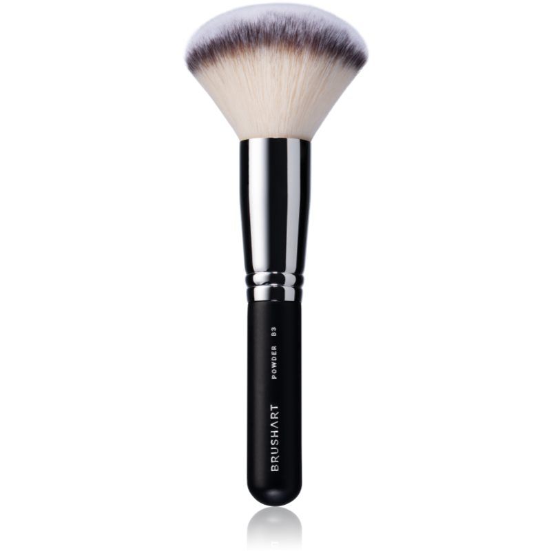BrushArt Professional