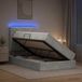 Maison Exclusive - Lit à sommier LED avec matelas gris clair 120 x 200 cm, velours
