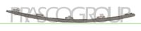 PRASCO Halter, Stoßfänger AD0361055 hinten | Compatibel met: AUDI A6 C6, A6 C6 Avant