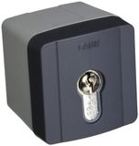 Interrupteur externe, type "Interrupteur à clé", plastique, 1 pièce