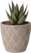 Form Plastic Plantenpot/bloempot New Age - kunststof - beige - D19 x H17 cm - met opvang schotel - rond