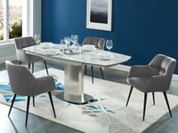 Vente-unique Set van 2 stoelen PEGA - Met armleuningen - Fluweel en metaal - Grijs