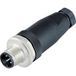 binder 99 0537 12 05-20 Sensor/actuator connector, niet geassembleerd M12 Aantal polen (sensoren): 5 Stekker, recht 1 stuk(s)