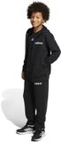 Adidas Essentials Trainingspak Zwart 15-16 Years Kinderen