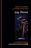 Gay Shame