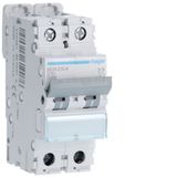 Hager Serie N - 2-polig, 4 A, 10 kA, magnetisch, gebogen