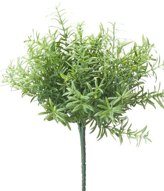 Emerald Rosemary Bush 22 cm kunstplant Emerald