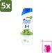 Head & Shoulders 5x 2-en-1 Sensible Anti-roos Shampoo 300 ml