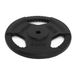 TREXO TRX-ICP001 Halterschijf van gietijzer, 20 kg