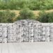 Maison Exclusive - Geknoopte gaasbakken, 15 pièces, 300x30x100/120 cm, acier galvanisé