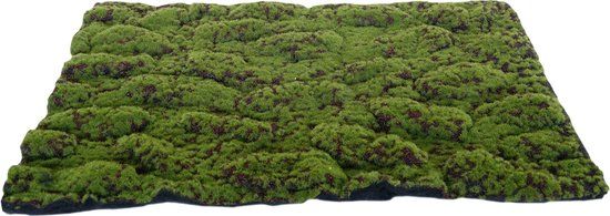 My Village Kunst mos mat groen-bruin Medium 70X50 cm kerst