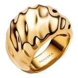 Pandora Dames Ring 163884C00-52 Ringmaat 52