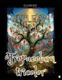 Chilean Tropaeolum Tricolor: Chilean Relic: An Artistic Journey Through Colour, Nature and Chilean Magic