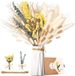 Shenzhen Haorui Industrial Technology Co., Ltd. Pampasgras, fleurs séchées, décoration, herbe de pampa naturelle, séchée, duveteuse, eucalyptus, séchée et lagurus, fleurs séchées, bouquet, décoration pour le mariage parfait, arrangements décoration intérieure