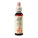 Aspen Bach Original Flower Remedies 20ml - Pack of 2
