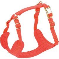 more LIFESTYLEPETS LIFESTYLEPETS nylon tuigje rood L