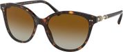Bvlgari BV8235 Lunettes de soleil Havane/Or