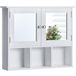Bath Vida Bath Vida 333467 Priano Badkamerkast met dubbele deur, met spiegel, opbergplanken, wandmontage, wit, 50 x 60 x 14 cm (h x b x d)