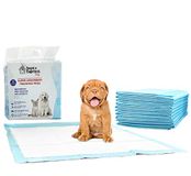 Sogni e Capricci Pets absorberende matten, 10 stuks