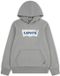 Levi's Kids Sweat à capuche avec imprimé Batwing Gris