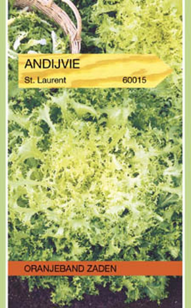 Oranjeband Zaden Oranjeband - Andijvie St. Laurent