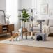 Arbre à chat rotatif avec cachette pour chat et surface d'escalade