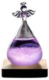 Merkloos Solidchoice Storm Glass Weerstation