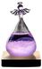 Merkloos Solidchoice Storm Glass Weerstation
