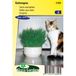Sluis Garden herbe à chat (orge)