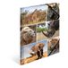 HERMA 19214 Verzamelmap DIN A4 dieren Afrika, set van 3