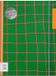 Pepa Lani Bullet Journal PRO Flower Green Checkers Pink Details