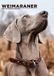 CalendarsRUs Weimaraner A3 Kalender 2027