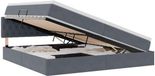 vidaXL Opbergbed met hoofdeinde Donkergrijs Fluweel 200 x 200 cm