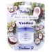 DOCTEUR B VASELINE SOIN DES LÈVRES COCO 7 G