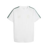 PUMA Functioneel shirt 'AC Mailand King' crème / groen / wit