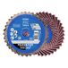 PFERD TOOLS 42719805 Jeu de disques abrasifs Diamètre 75 mm Granulométrie 60 10 pièce(s)