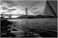 Dietrix Inductie beschermer 60x60 - Steden - San Francisco Zwart Wit