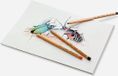 Faber-Castell Pitt Pastelpotlood - 101 Wit