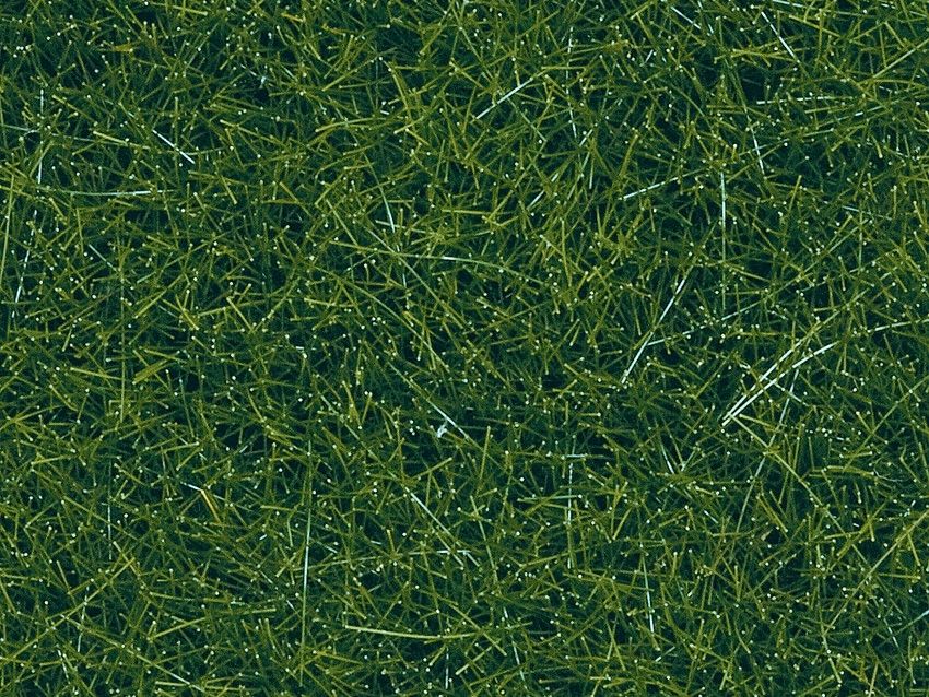 NOCH Scatter Grass - dark green - 60g