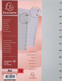 Intercalaires Exacompta 10x Tabbladen met bedrukte tabs in gerecycled PP - 12 tabs - januari/december - A4 - Grijs - 1812E