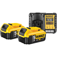 DeWalt DCB184-XJ 18V 5,0 Ah Accu (2x) + XR Multivoltage