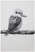 Maxwell & Williams Marini Ferlazzo Kook Theedoek Grijs 50x70 Cm