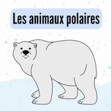 Les Polar Animals: A Simple and Educational French-English Picture Book for Kids to Learn and Discover Polar Animals