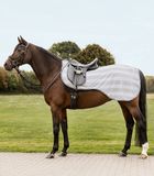 Waldhausen Economische Vliegendeken Voor Training - Zomer - Polyester - Paard - Zilver Grijs - Waterdicht